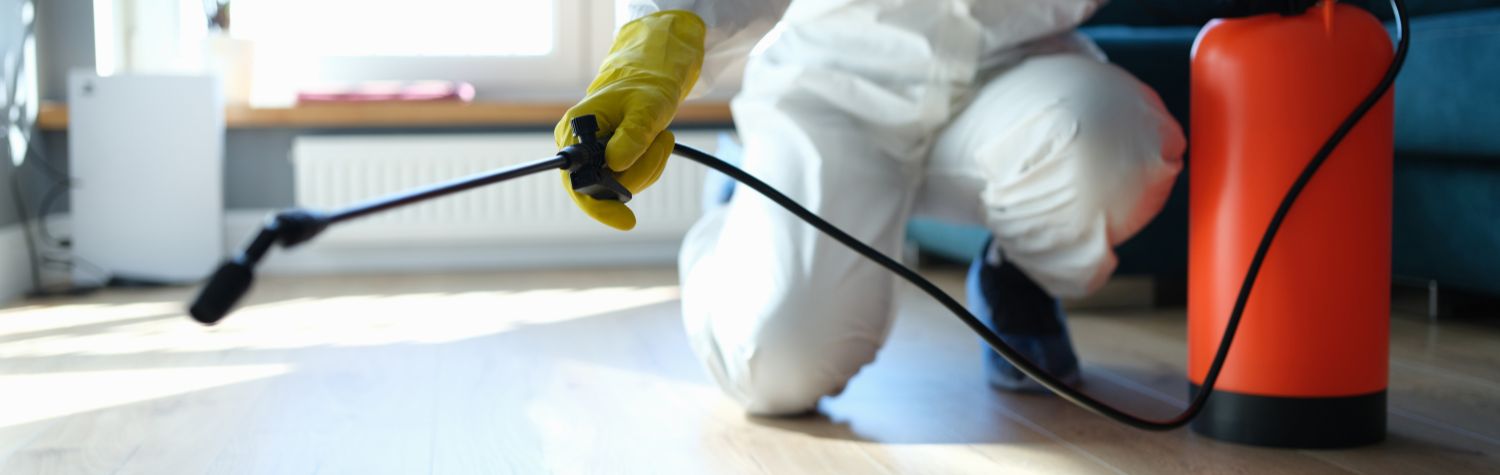 6 reasons to wait to call fumigators and exterminators