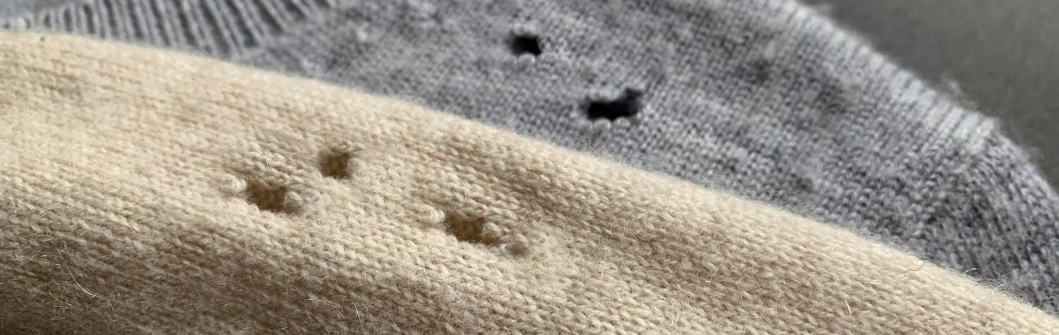 What’s eating my wool: Carpet beetles or clothing moths?