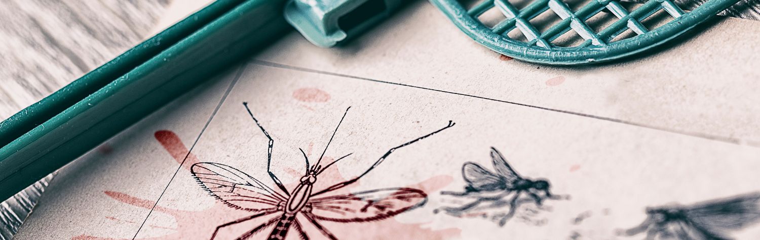 Affordable natural pest control solutions for a safer, healthier home