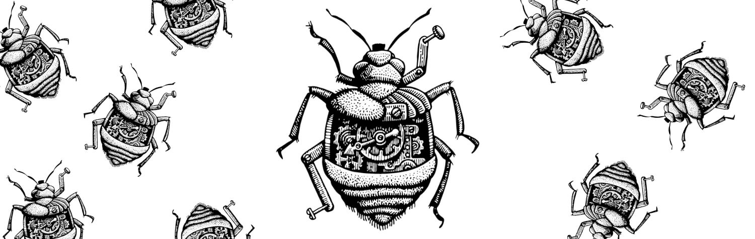 bugs-that-look-like-bedbugs