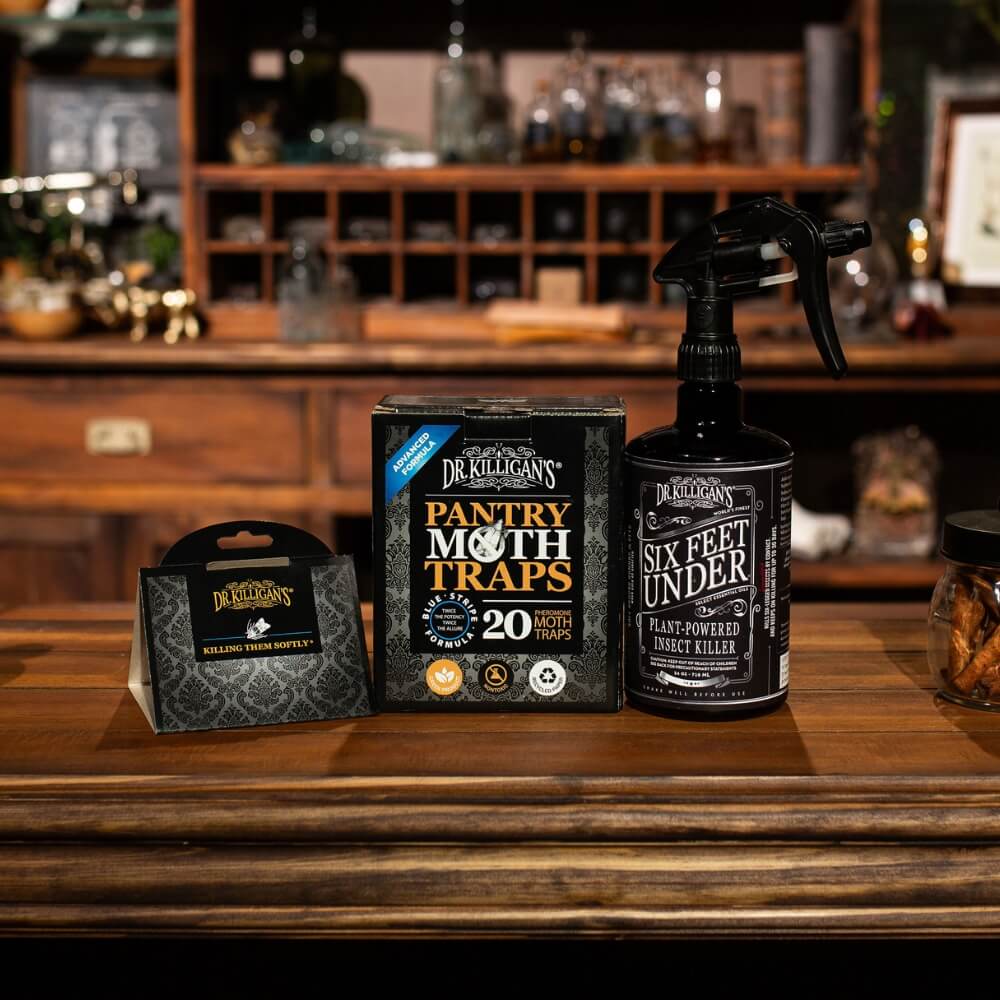 Dr. Killigan's pantry moth traps and Six Feet Under plant-powered insect killer on a wooden shelf. #size_small