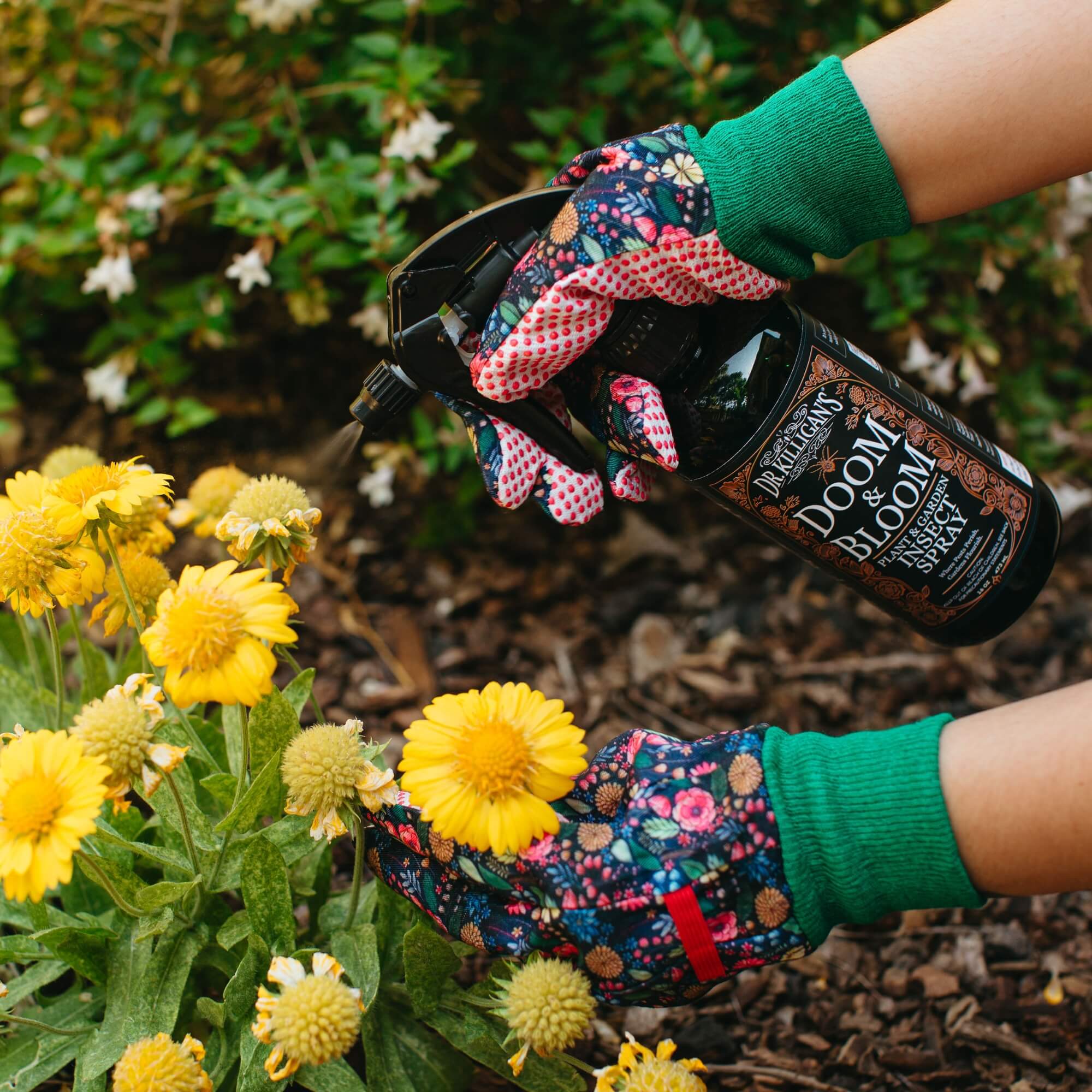 Woman with gardening gloves spraying Doom and Bloom mite killer on yellow flowers