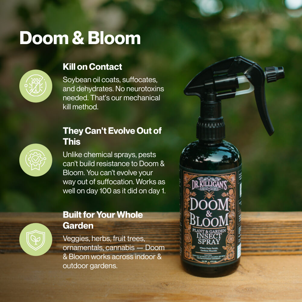 Doom and Bloom: Plant & Garden Insect Spray - Fast-Acting - Safe Aroun