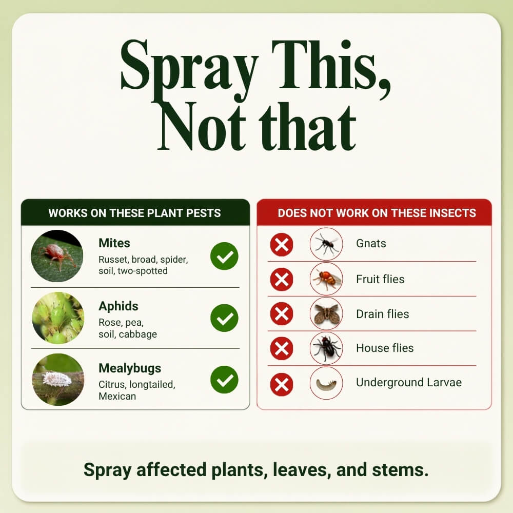 Doom and Bloom: Plant & Garden Insect Spray - Fast-Acting - Safe Around Pets & Family (16 oz)