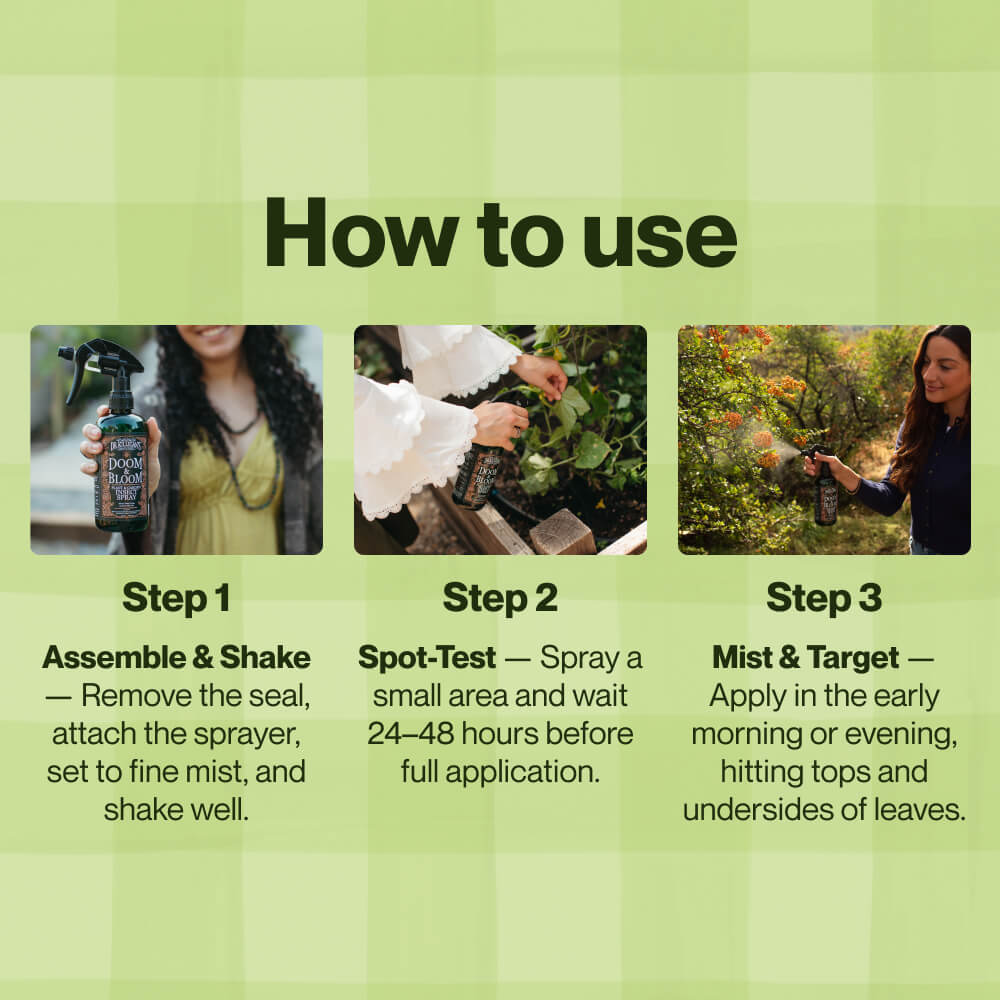 Instructions on how to use a spray product with step-by-step guidance on a green background.