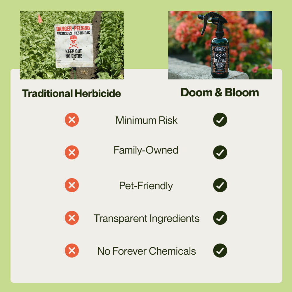 Comparison chart between traditional herbicide and Doom & Bloom product on a green background.