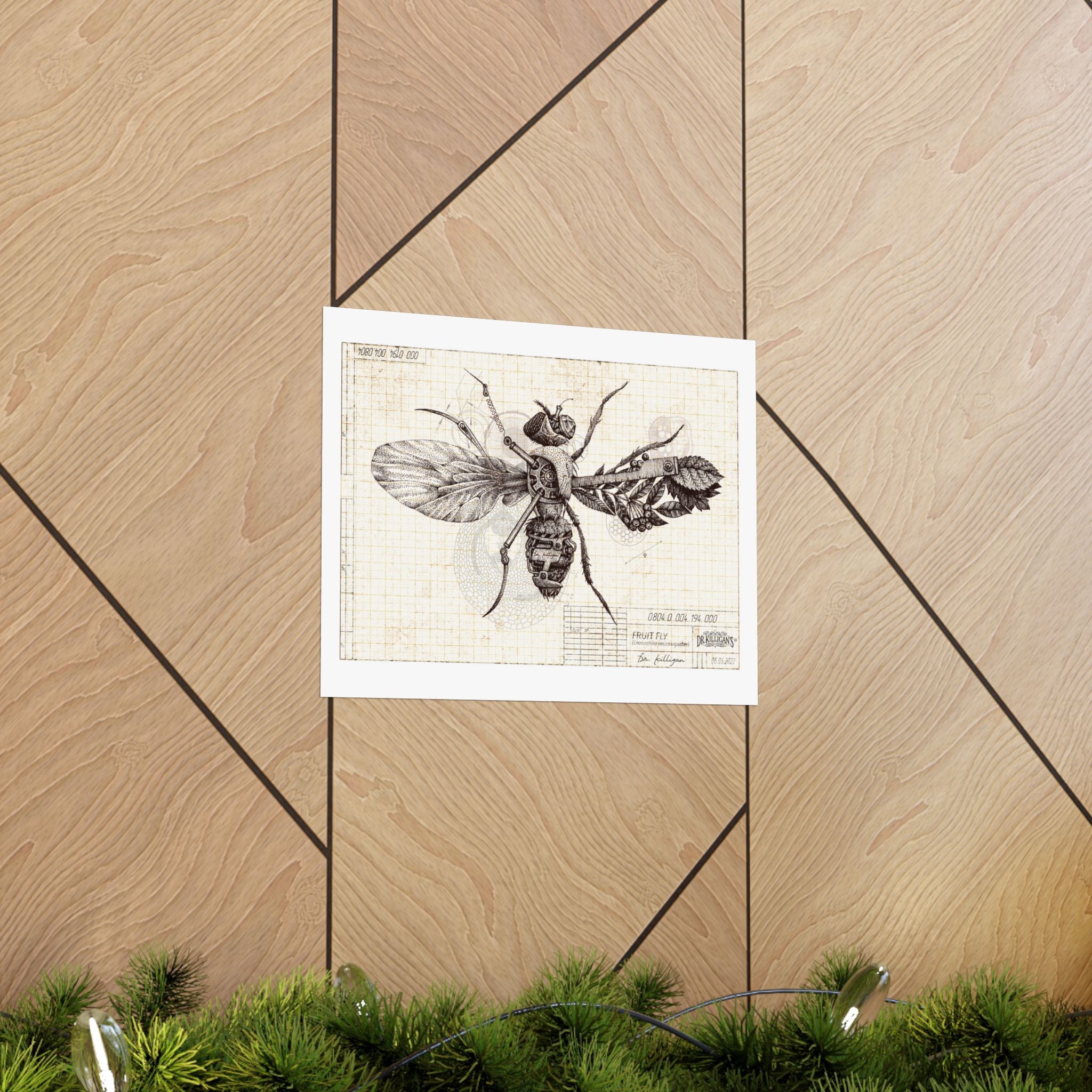 Vintage Fruit Fly Poster — Matte Horizontal Botanical Print