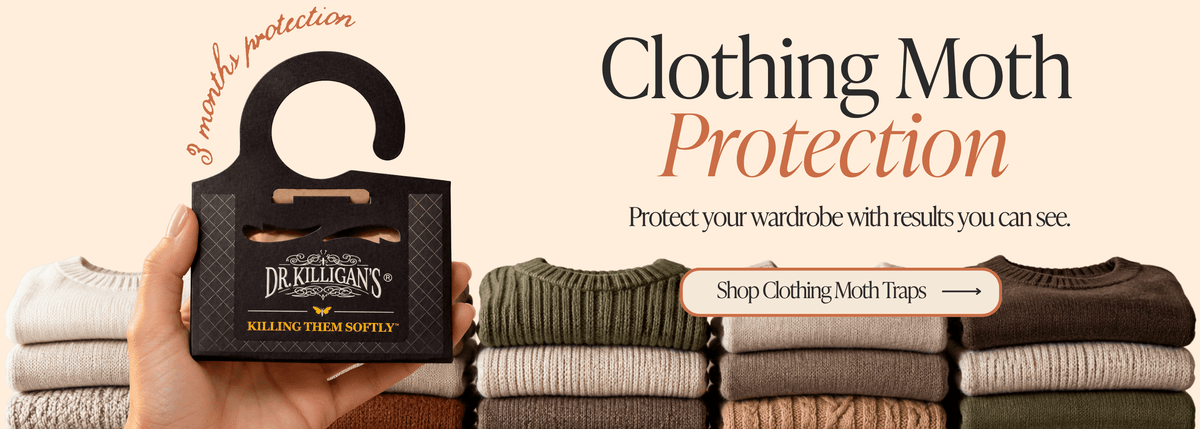 Hand holding a clothing moth trap with text that says "Clothing Moth Protection - Shop clothing moth traps"