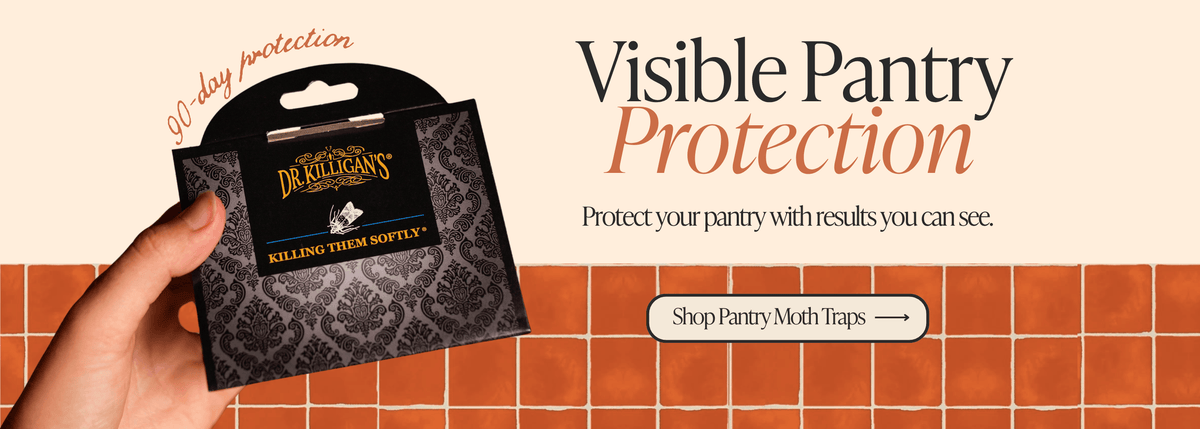 Hand holding a pantry moth trap with text that says "Visible Pantry Protection - Shop pantry moth traps"
