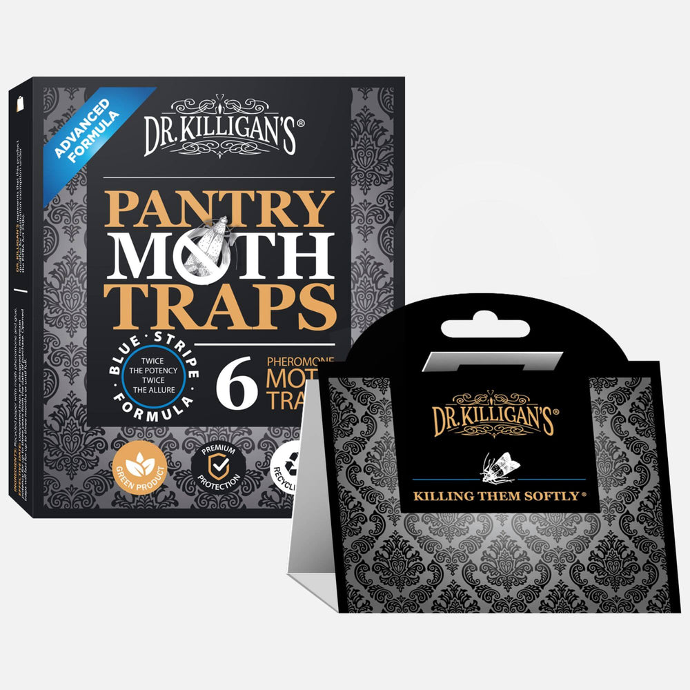 6 Pack Premium Pantry Moth Traps | 1 box - Dr. Killigan's #multipacks_6 traps, color_black