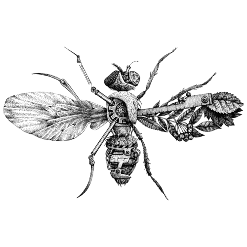 Dr. Killigan's Non-Toxic and Elegant Pest Control Solutions | Jason McCormick Dr. Killigan's Non-Toxic and Elegant Pest Control Solutions | Jason McCormick