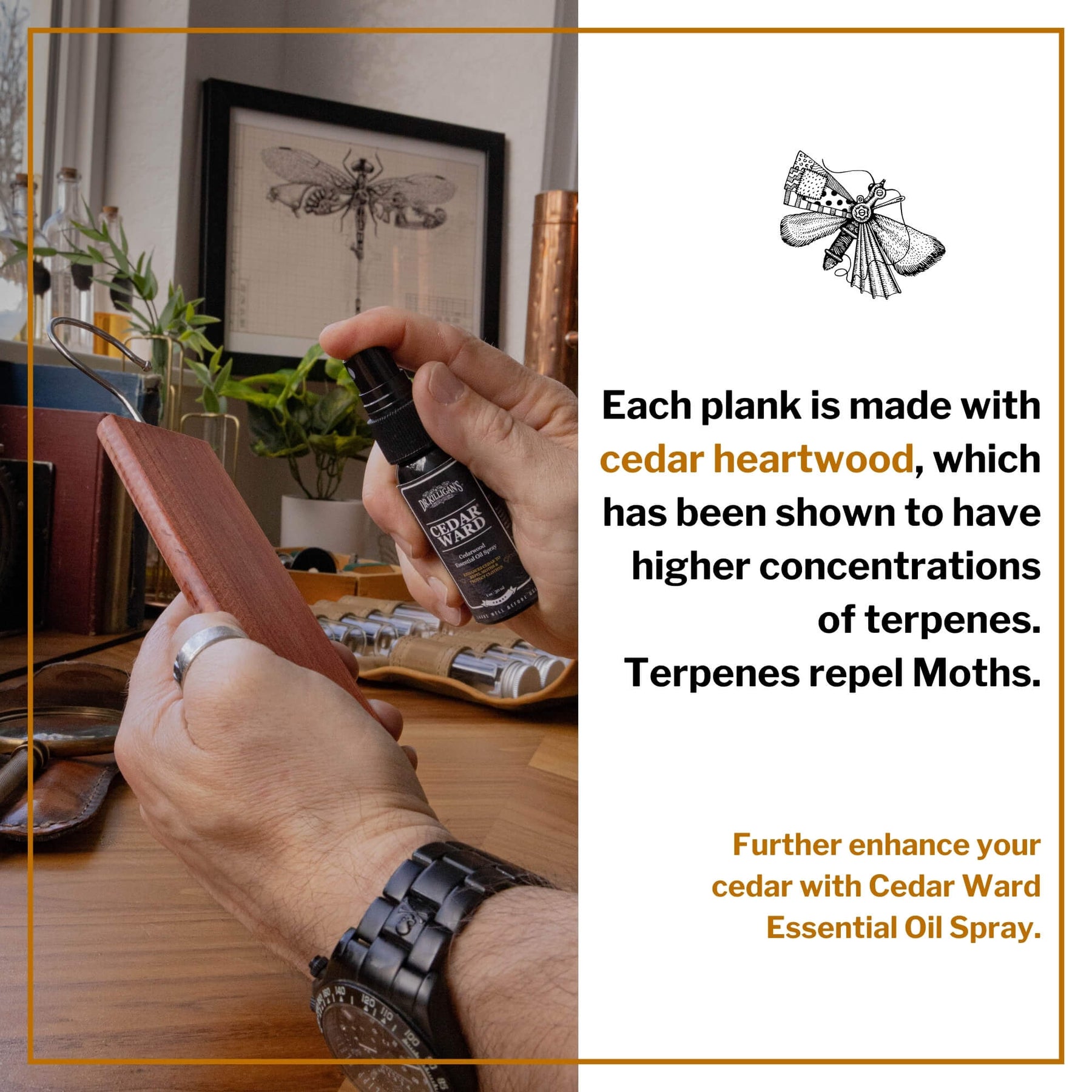 Cedar Planks Clothes Moth Repellent