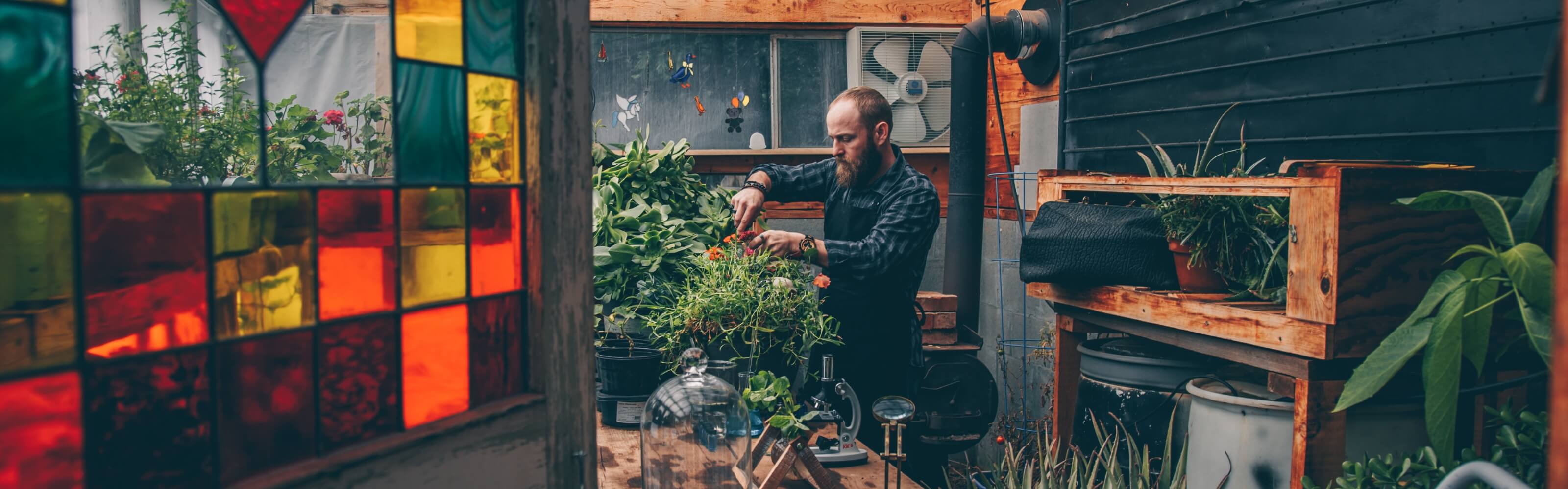 Dr. Killigan working with plants in his lab