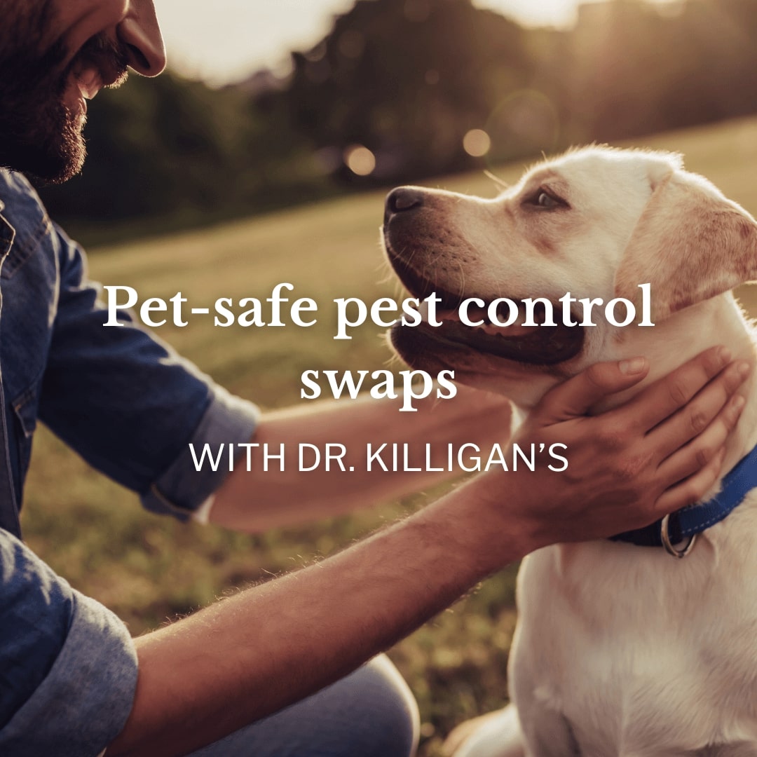 man petting a dog in a field with "pet safe pest control" text on the image