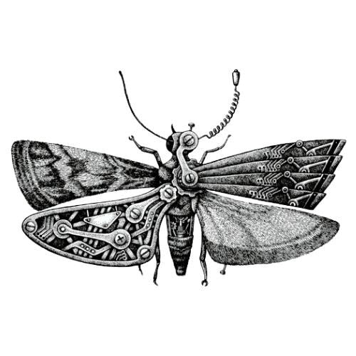 Dr. Killigan's drawing of steampunk moth for moth traps.
