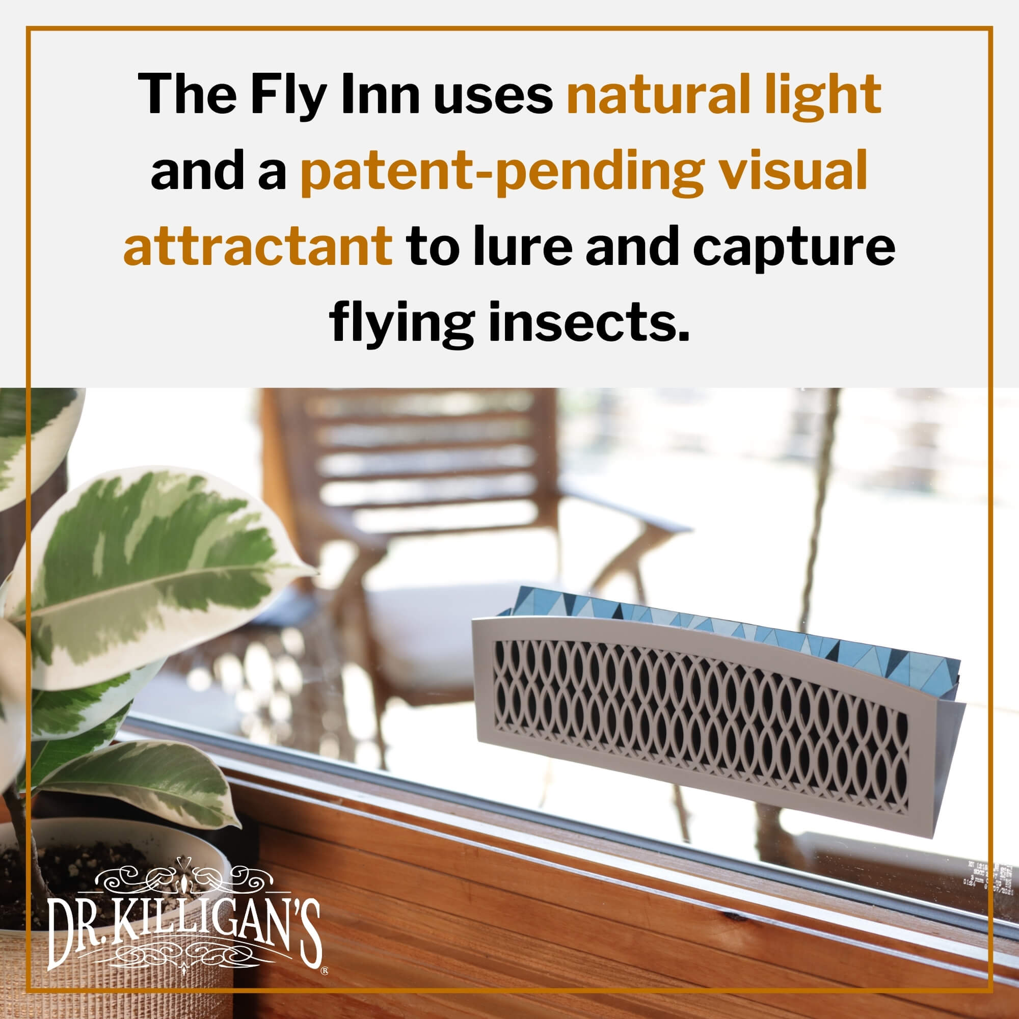 The Fly Inn Flying Insect Traps